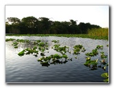 Everglades-Holiday-Park-Airboat-Ride-017