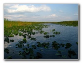 Everglades-Holiday-Park-Airboat-Ride-019