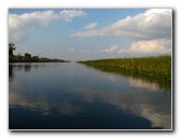 Everglades-Holiday-Park-Airboat-Ride-023