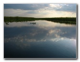 Everglades-Holiday-Park-Airboat-Ride-033