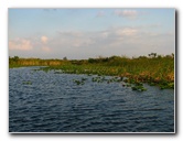 Everglades-Holiday-Park-Airboat-Ride-084