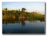 Everglades-Holiday-Park-Airboat-Ride-085