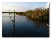 Everglades-Holiday-Park-Airboat-Ride-094