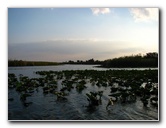 Everglades-Holiday-Park-Airboat-Ride-096