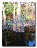 Everglades-Holiday-Park-Airboat-Ride-106