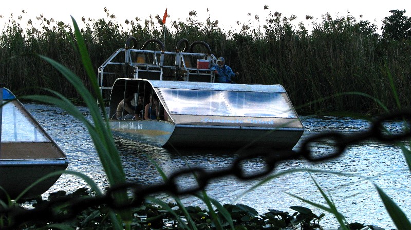 Everglades-Holiday-Park-Gator-Show-002