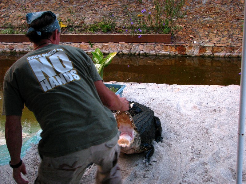 Everglades-Holiday-Park-Gator-Show-032