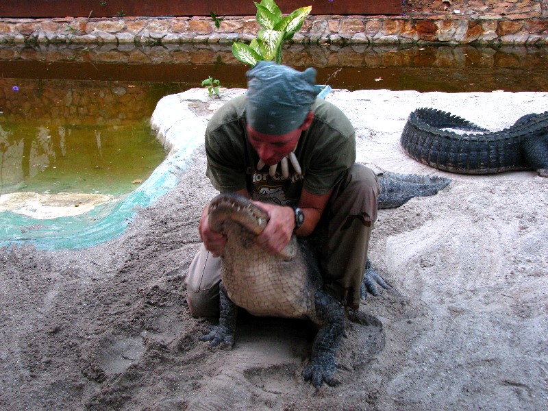 Everglades-Holiday-Park-Gator-Show-040