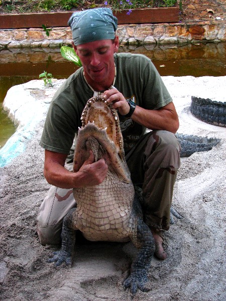 Everglades-Holiday-Park-Gator-Show-041