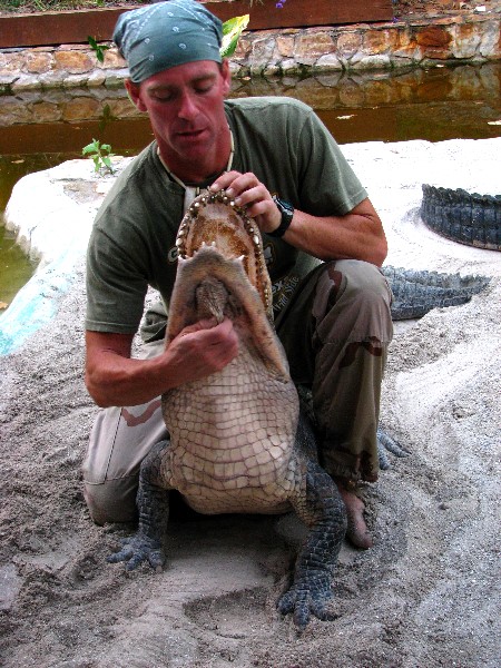 Everglades-Holiday-Park-Gator-Show-044