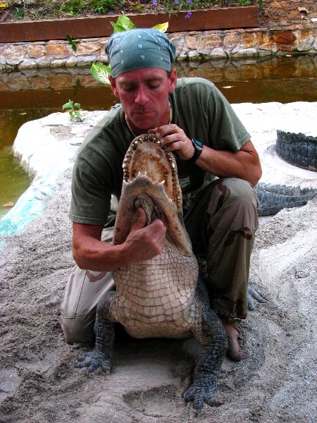 Everglades-Holiday-Park-Gator-Show-045