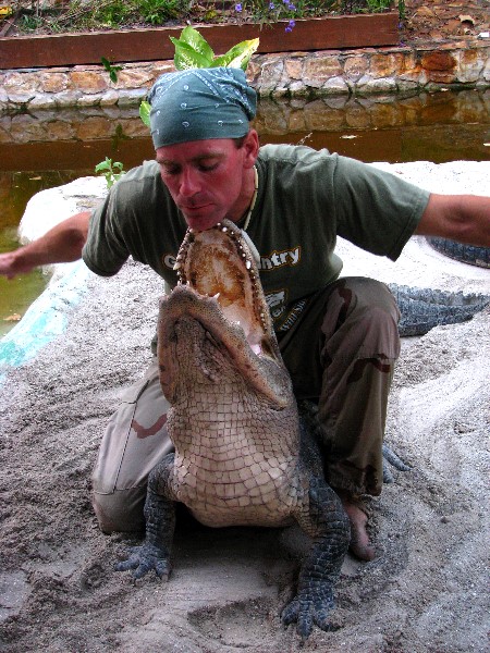 Everglades-Holiday-Park-Gator-Show-046