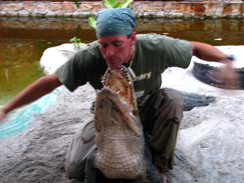 Everglades-Holiday-Park-Gator-Show-047