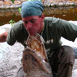 Everglades Holiday Park Live Gator Show