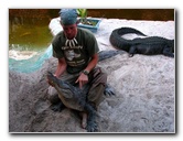 Everglades-Holiday-Park-Gator-Show-036