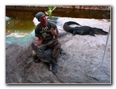 Everglades-Holiday-Park-Gator-Show-037