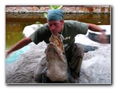 Everglades-Holiday-Park-Gator-Show-047