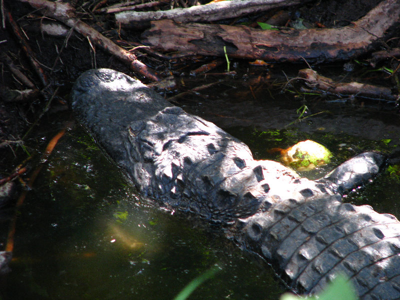 Everglades-National-Park-Homestead-FL-018