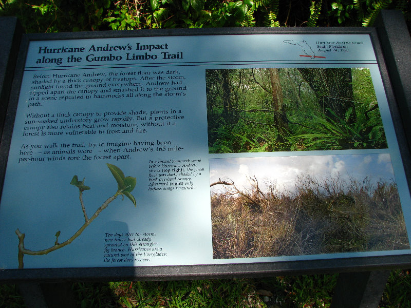 Everglades-National-Park-Homestead-FL-039