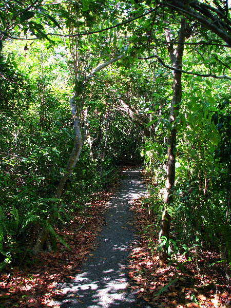 Everglades-National-Park-Homestead-FL-042