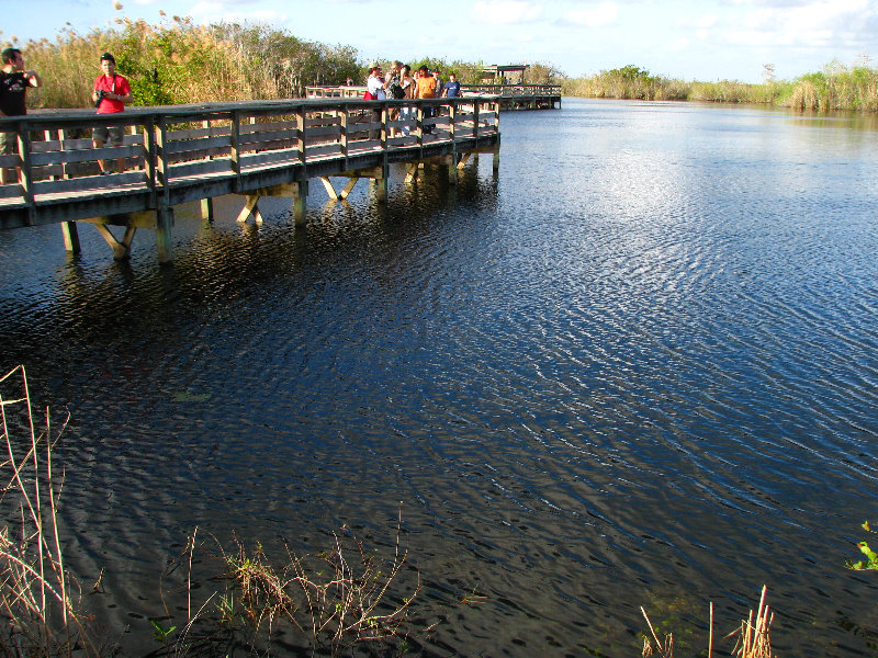 Everglades-National-Park-Homestead-FL-060