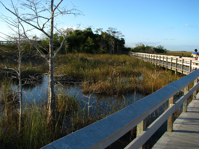 Everglades-National-Park-Homestead-FL-070