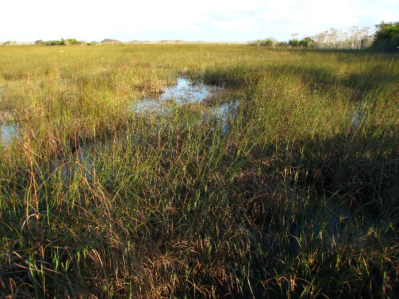 Everglades-National-Park-Homestead-FL-071