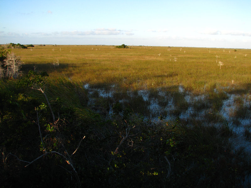 Everglades-National-Park-Homestead-FL-074