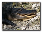 Everglades-National-Park-Homestead-FL-031