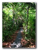 Everglades-National-Park-Homestead-FL-042