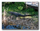 Everglades-National-Park-Homestead-FL-055