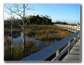 Everglades-National-Park-Homestead-FL-070