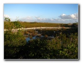 Everglades-National-Park-Homestead-FL-075