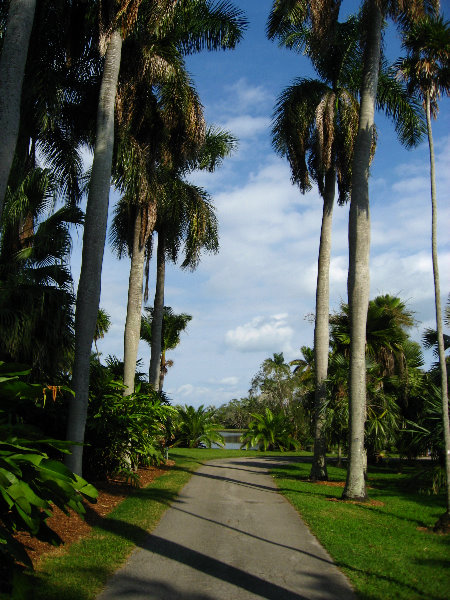 Fairchild-Chocolate-Festival-121