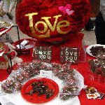 2008 Fairchild Chocolate Festival