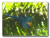 Fairchild-Chocolate-Festival-128