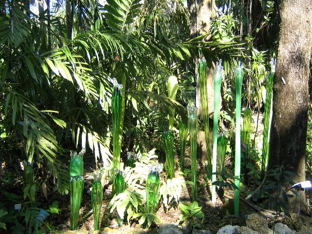 Fairchild-Chihuly-Blown-Glass-Art-0008