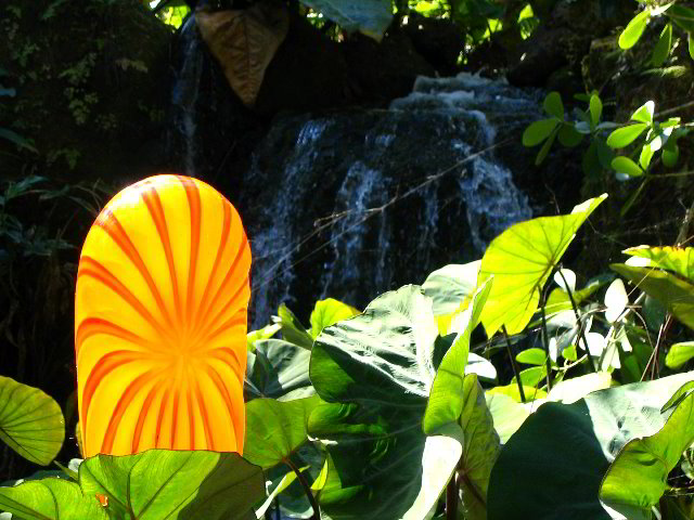 Fairchild-Chihuly-Blown-Glass-Art-0012