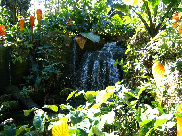 Fairchild-Chihuly-Blown-Glass-Art-0015