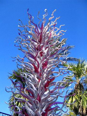 Fairchild-Chihuly-Blown-Glass-Art-0016