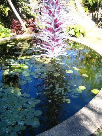 Fairchild-Chihuly-Blown-Glass-Art-0018