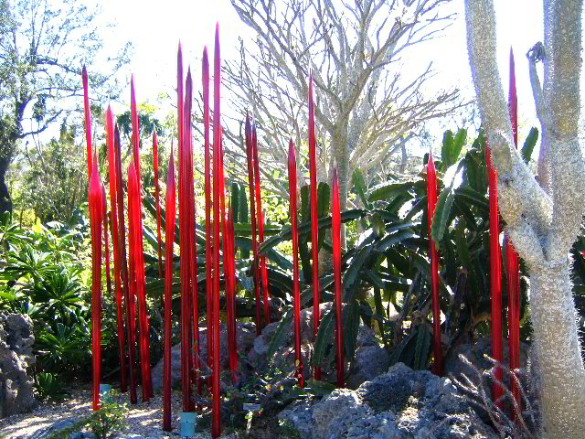Fairchild-Chihuly-Blown-Glass-Art-0031