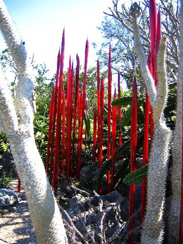 Fairchild-Chihuly-Blown-Glass-Art-0033