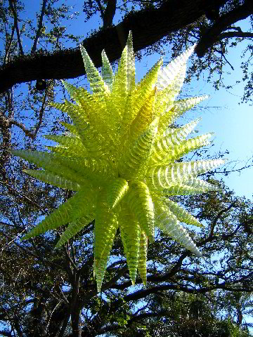 Fairchild-Chihuly-Blown-Glass-Art-0038