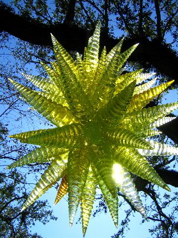 Fairchild-Chihuly-Blown-Glass-Art-0039