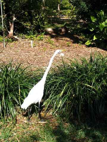 Fairchild-Chihuly-Blown-Glass-Art-0042