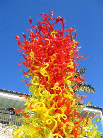 Fairchild-Chihuly-Blown-Glass-Art-0062