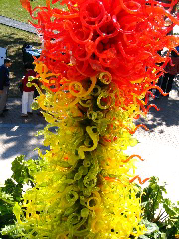 Fairchild-Chihuly-Blown-Glass-Art-0064