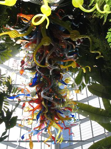 Fairchild-Chihuly-Blown-Glass-Art-0065