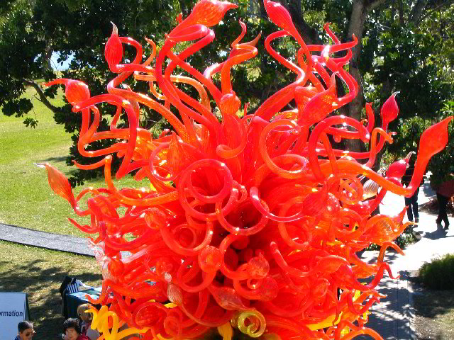 Fairchild-Chihuly-Blown-Glass-Art-0066